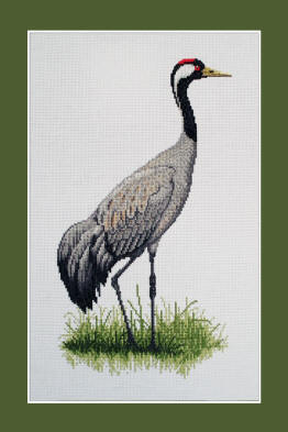 Crane